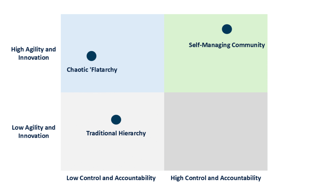 Self-Managed Organization RNG Strategy Consulting